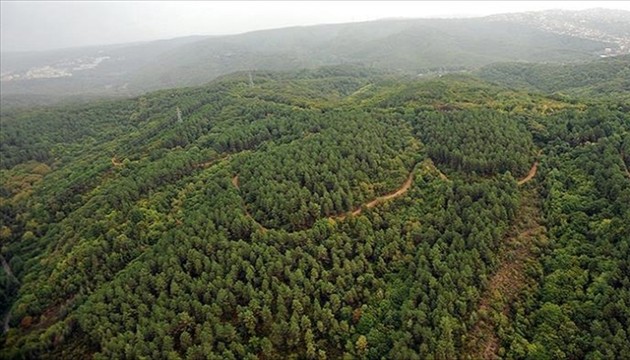 27 ilde ormanlık alanlara girişler yasaklandı